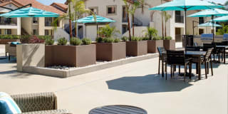 Avalon La Jolla Colony Gallery 27