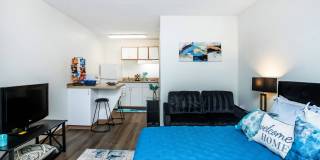 Vivo Living North Woods Gallery 15