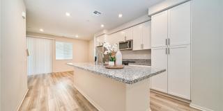 1672 Cayton Gallery 11