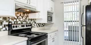 Solana Vista Gallery 75