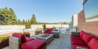 Park Metro Gallery 12