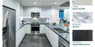 Hanover Springfield Gallery 30