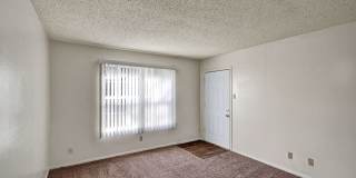 Golden Crest Gallery 11