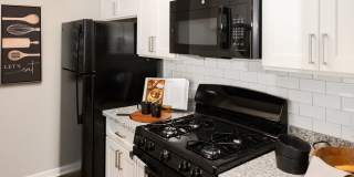 Atlas at St. George Gallery 25