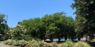 Updated 2 bedroom 1 bath condo in a quiet park like setting with a community pool Gallery 15