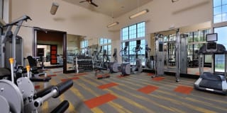 Alvista Round Rock Gallery 36