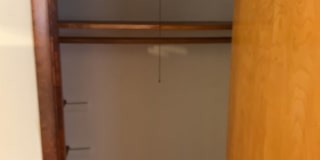 Nandale - Yellow Gallery 19