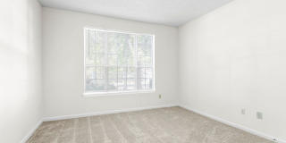 Lake St. James Gallery 26