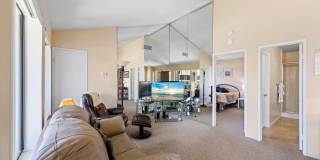 1150 E Amado Road Gallery 7