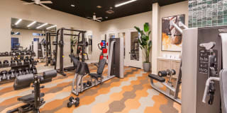 The Seaton Gallery 16