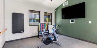 Sofi at Wood Ranch Gallery 22