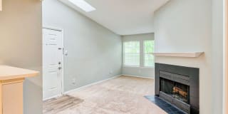 Timber Hollow Gallery 6