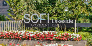 Sofi Lakeside Gallery 34
