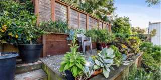 1096 Ashbury St Gallery 26