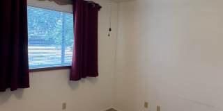 Country Environment in Town Gallery 10