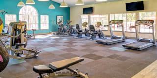 Sofi at Murrayhill Gallery 16