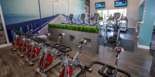 Banyan Bay Gallery 36