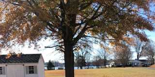 59 Mattox Bay Drive Gallery 1