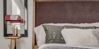 Mt. Rainier Gallery 22