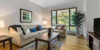 Bell Olmsted Park Gallery 2