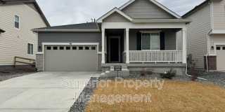 981 Sandhills St Gallery 1