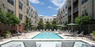 The Frasier Gallery 14