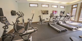 Palms of Clearwater Gallery 23