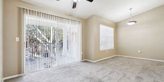 Vista Lake Ned Gallery 53