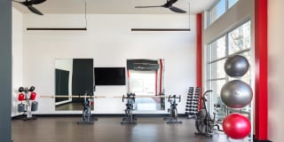 Gallery at Domain Gallery 30