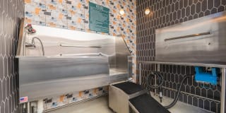 The Seaton Gallery 19