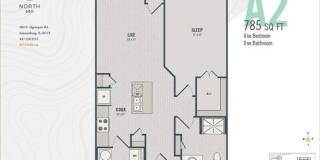 670 E Algonquin Road unit: 4303 Gallery 3