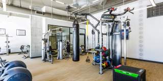 iLuminate Gallery 20