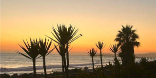 328 Boca Del Canon Gallery 57