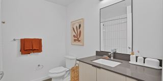 Amara Gallery 23