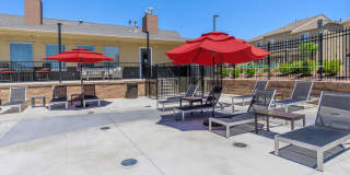 Polaris Peak Gallery 30