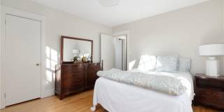 9 White Terrace Gallery 21