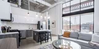 The Harrison Gallery 15