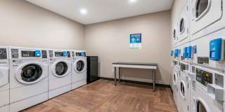 Tampa - Fairgrounds - Casino Gallery 16