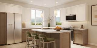 The Ellory Gallery 4