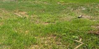 3715 E Idlewild Ave Gallery 14