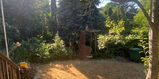 Newly Renovated Home in a Friendly, Active Neighborhood Gallery 15