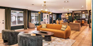 ReNew Dash Point Gallery 42