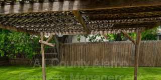11782 Spring Song Gallery 20