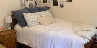 318 Saint Paul St #4D Brookline MA 02446 Gallery 5