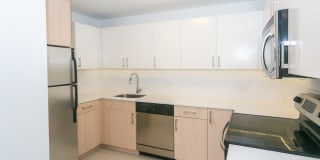 Regents Park Gallery 48