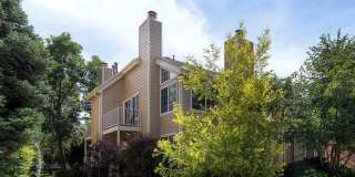 Sunny 1+ Bedroom Apartment For Rent In Gunbarrel Sunny 1+ Bedroom Apartment For Rent In Gunbarrel Gallery 1