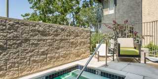 Golden Pacific Gallery 15