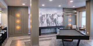 Paloma Village Gallery 12