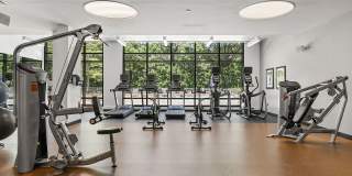 Bell Olmsted Park Gallery 12