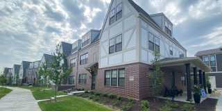 The Bungalows on the Lake - The View Gallery 182